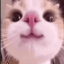 Icone serveur